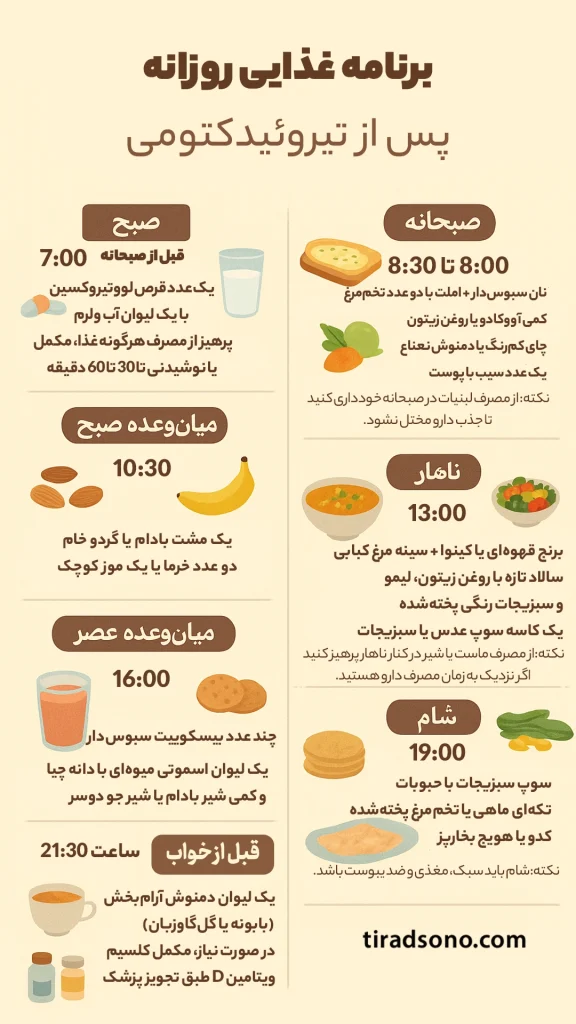 پیشنهاد یک برنامه غذایی روزانه نمونه